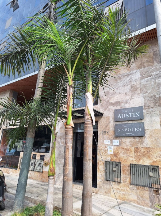 Hotel image 2